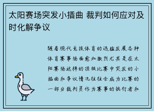 太阳赛场突发小插曲 裁判如何应对及时化解争议