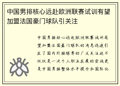 中国男排核心远赴欧洲联赛试训有望加盟法国豪门球队引关注
