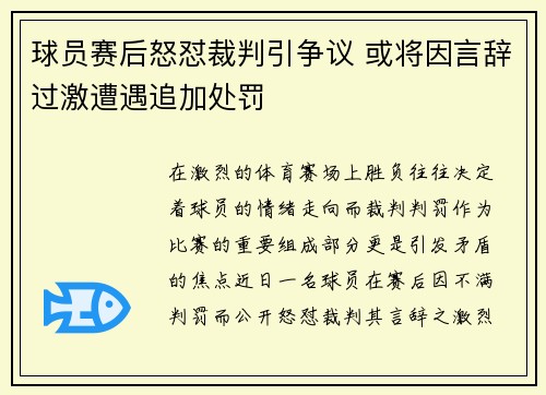 球员赛后怒怼裁判引争议 或将因言辞过激遭遇追加处罚